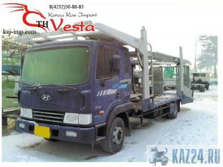  Hyundai Gold  2007   13t 