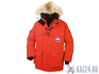  Canada goose  