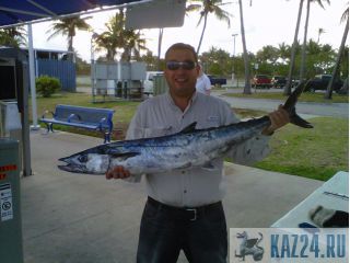 FELIX FISHING  ACADEMY 