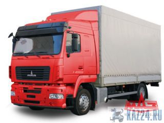   534019 