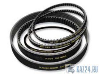 ����� ������������� Darwin Plus ������