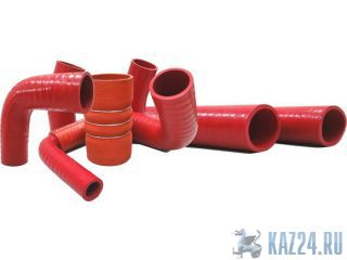 �������� ����������� Darwin Plus ������