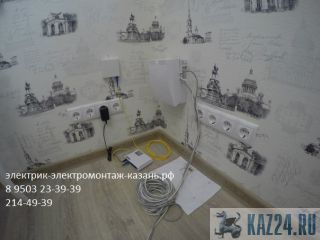      8 9503 23-39-39, 214-49-39  