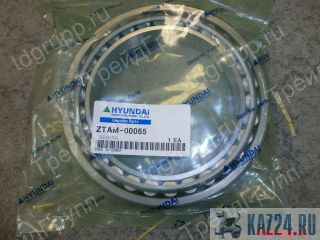 ZTAM-00065  