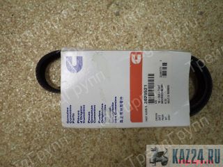 3028521   Cummins M11, QSM11, ISM, ISMe 