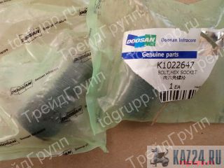 K1022647   (bolt, hex socket) 