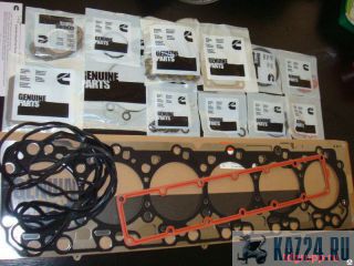 4955229 ����� ��������� ������� Cummins QSB6.7 ������