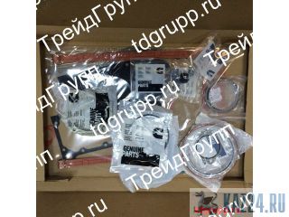 4089889   Cummins QSL 