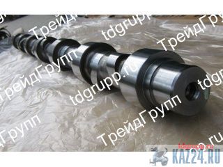 3066877  (Camshaft) Cummins KTA19 