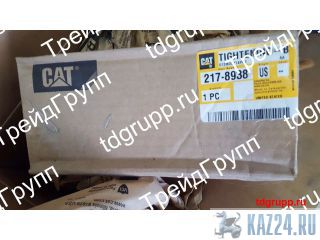 217-8938   CAT C18 