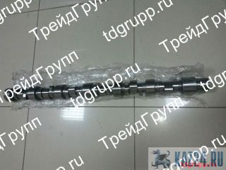 344-9038  CAT 