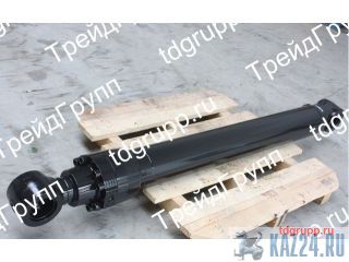VOE14556580   (Boom cylinder) Volvo EC460B 