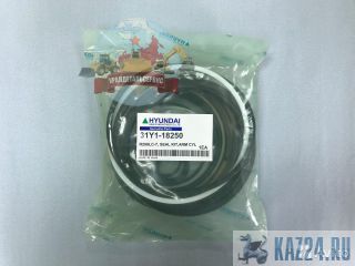 ����������� �/� ������� 31Y1-18250 �� R250LC-7 ������