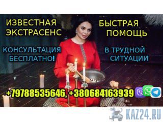   ,  +79788535646 