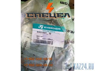 B302-0601    Everdigm RH 30/EH 30 