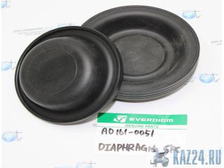AD161-0051    EVERDIGM EHD210   