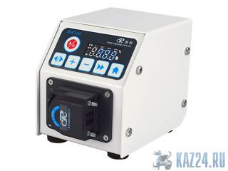        CHONRY BW100   