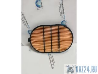   Donaldson PowerCore P607557  