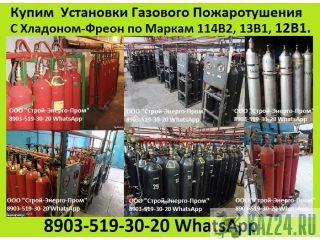  e-e oe cao ao opoe  Xoo 1142, 131, 121, 113,  