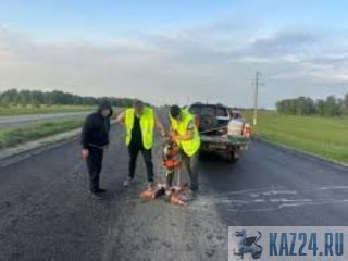 ������ ��������� ������������� ����� �� ������������ �����������