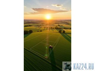 ������������ ��������� ��� ����������� ��� � ������������ �����������