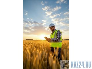 ������������������ ���������� � ������������ �����������