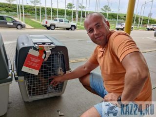 ��������� �������� � ������� � ������ ������