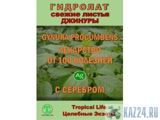 ��������� � �������������� ������ ProGynuru � ���� ����������� �������� ��� �������� � ������� ������