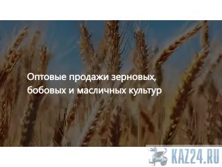 ��� �������� - ������� ���������� ��������� ������� ������� ������