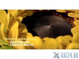 SolPro - ������������ ���� � ��������� ��� ������������� �������������� ������