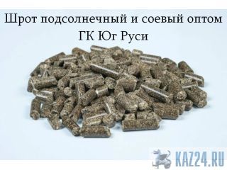 ���� ������������ � ������ ����� - �� �� ���� ������