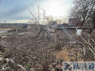 ������ ���� � �������� � ��������� ���, 2 �����, ������� 5 ����� ��������