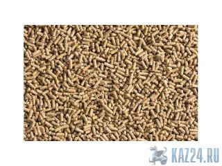 ��������������� ��������� ��� �������� ����� � �������� ������ � �������� ����� ��������