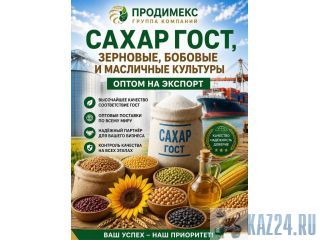 ����� ����, ��������, ������� � ��������� �������� ����� ������
